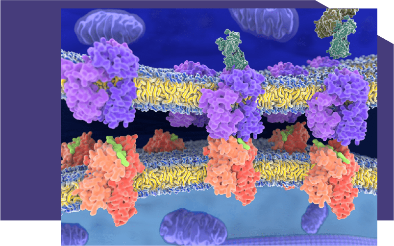 Mass Spectrometry-Based Proteomics Analysis Services