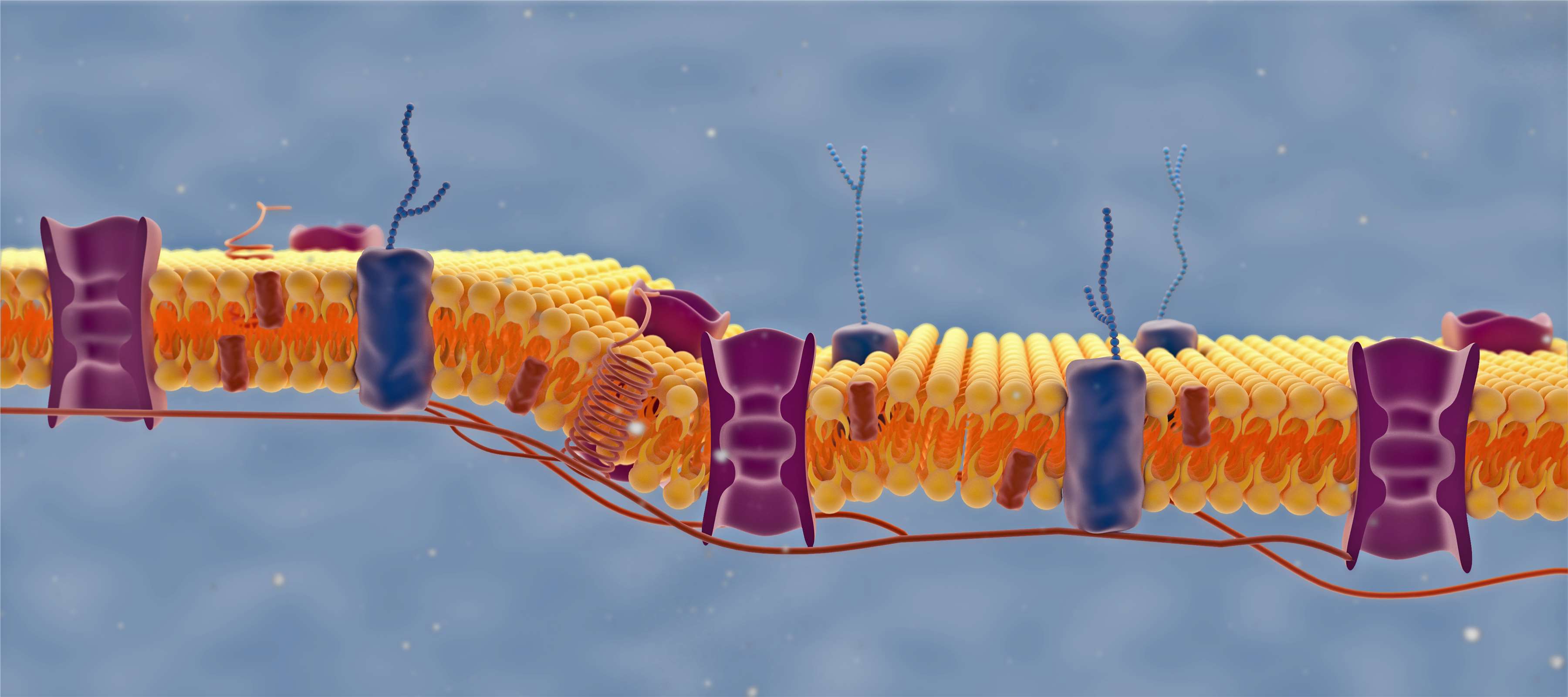 Posttranslational Modification Site Identification