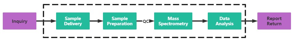 The Flowchart of Intact Protein Analysis - Creative Proteomics.