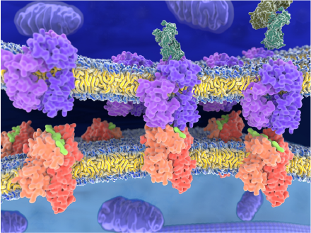 Proteomics